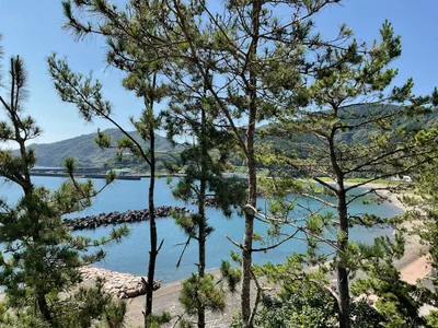 Nakatosa - Photo 2