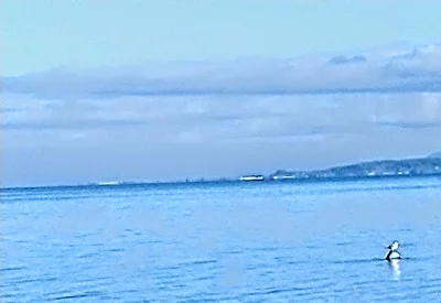 Camano Island - Photo 2