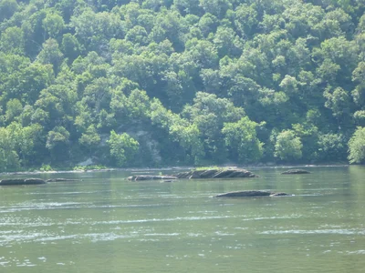 Knoxville - Photo 2