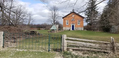 Minto - Photo 5