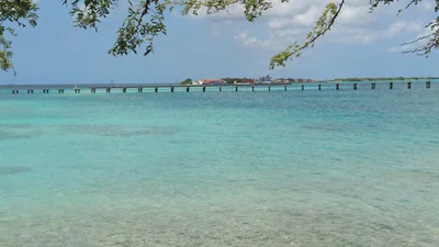 Savaneta - Photo 3