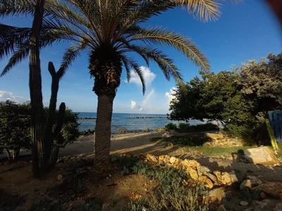 Savaneta - Photo 4