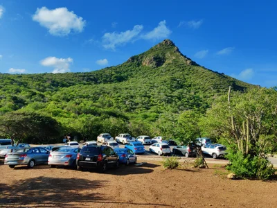 Mako's Mountain - Photo 3