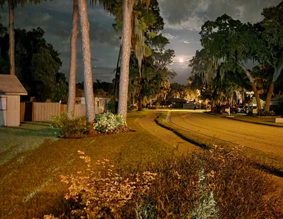Ellenton - Photo 3