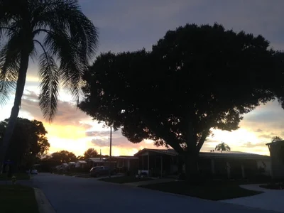 Ellenton - Photo 4