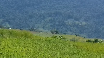 Dzongkhag Thromde - Photo 4