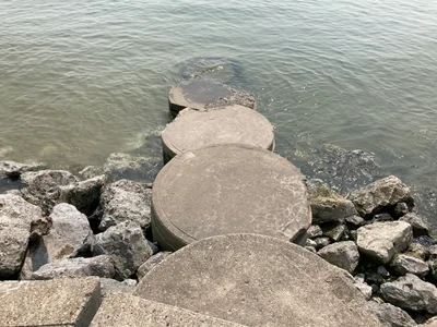 Luna Pier - Photo 3