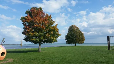 Tawas City - Photo 2