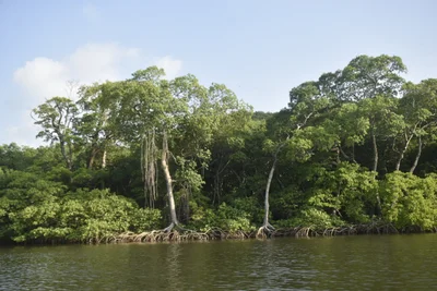 Los Tuxtlas Biosphere Reserve - Photo 5