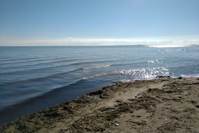 Norfolk County - Photo 4