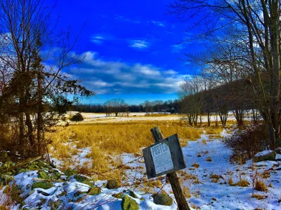 Chester - Photo 2