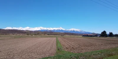 Yubetsu - Photo 4