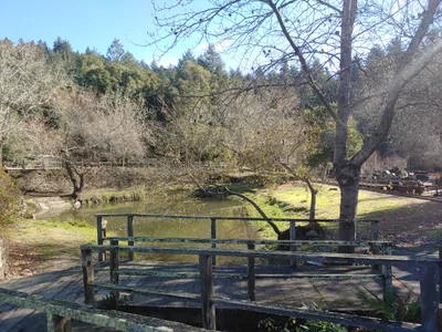 Felton - Photo 2