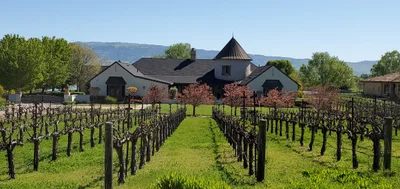 San Martin - Photo 2