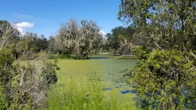 Lithia - Photo 2
