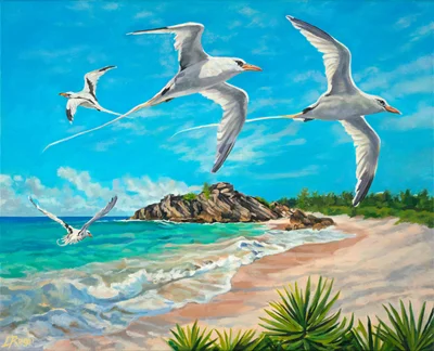 Lisa-Anne Rego Gallery - Photo 5
