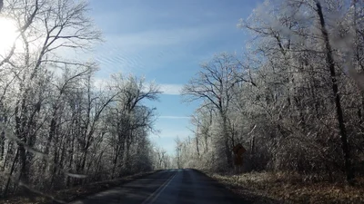 Linden - Photo 2