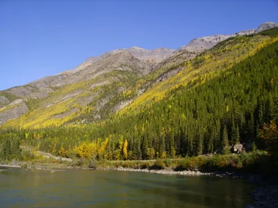 Northern Rockies - Photo 4