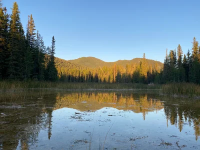 Liard River Hot Springs Provincial Park - Photo 3