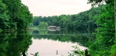 Far Hills - Photo 3