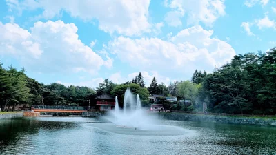 Jecheon-si - Photo 5