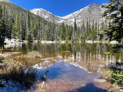 Lawn Lake Trailhead - Photo 2