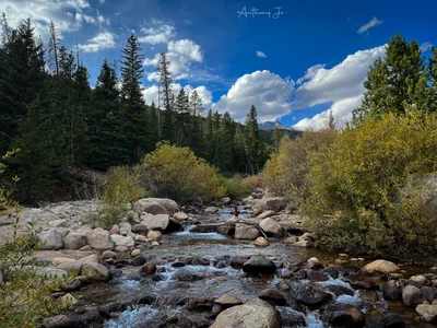 Lawn Lake Trailhead - Photo 4