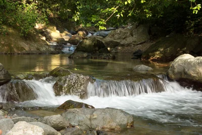 Monsenor Nouel Province - Photo 4