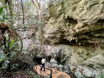 La Sirena Cave - Photo 4
