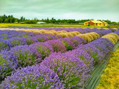 Clallam County - Photo 3