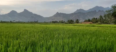 Nagercoil - Photo 4