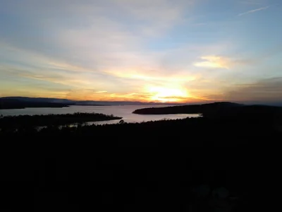 Wister - Photo 3