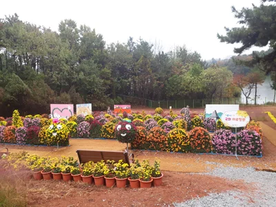 Iksan-si - Photo 2