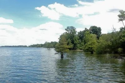 Lake Village - Photo 5