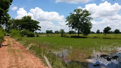 Chaiyaphum - Photo 3