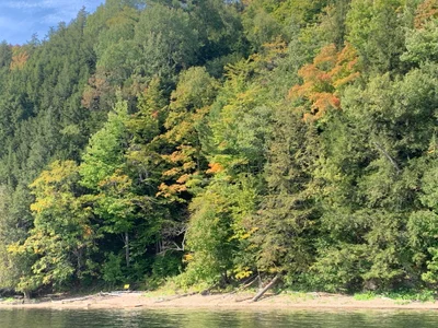 Lake Massawipi - Photo 4