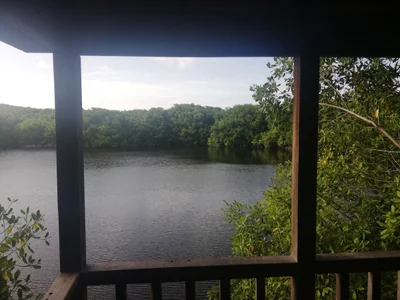 Lake Antoine National Landmark - Photo 2
