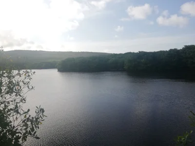 Lake Antoine National Landmark - Photo 3