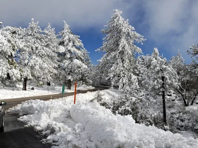 Mount Laguna - Photo 2