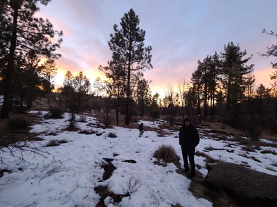 Mount Laguna - Photo 4
