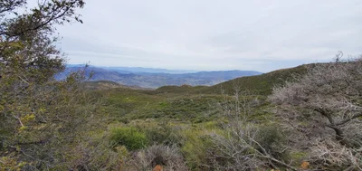 Mount Laguna - Photo 5