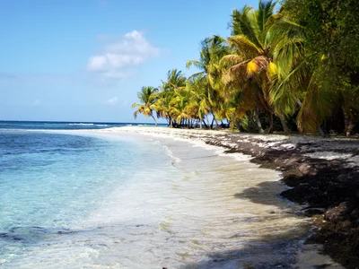 Mustique - Photo 5