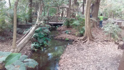 Ayotlan - Photo 5