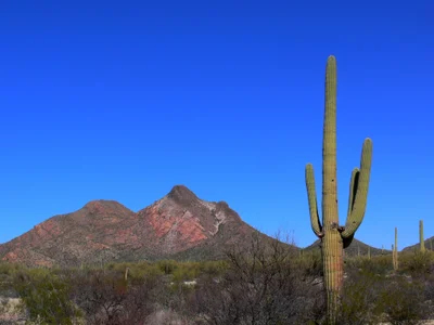 Tohono O'odham Nation - Photo 2