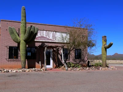Tohono O'odham Nation - Photo 3