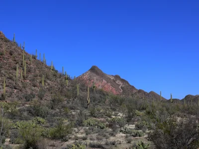 Tohono O'odham Nation - Photo 5