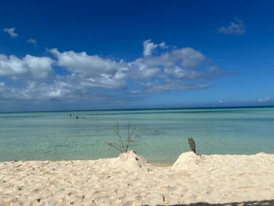 King's Gardens (Jardines del Rey) - Photo 3