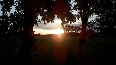 Sunset - Photo 3