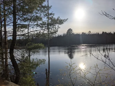 Municipality of Trent Lakes - Photo 4