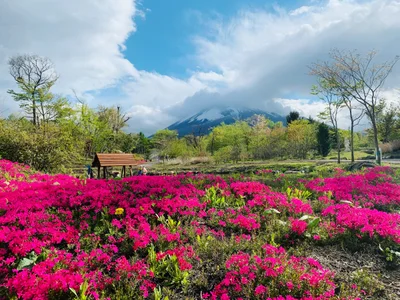 Hachimantai - Photo 4